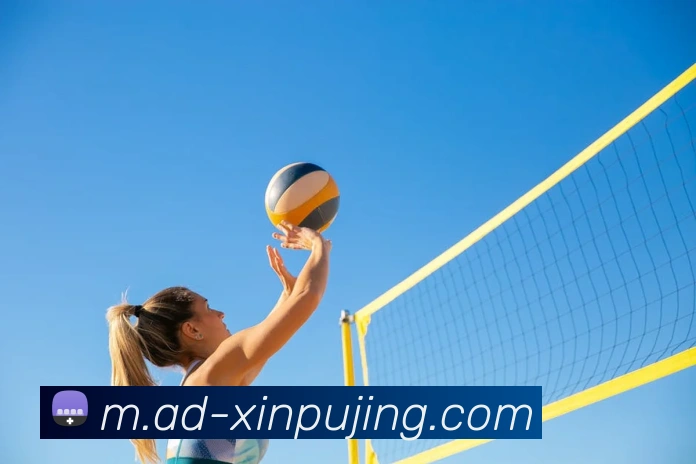 新葡京娱乐平台生态图