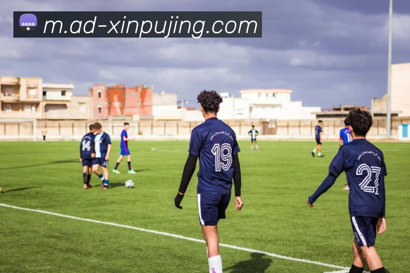 新葡京娱乐APP 封面图